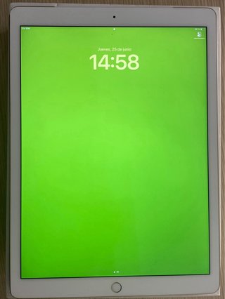 Apple iPad Pro 12,9 (1ª gen) wifi + celular G4