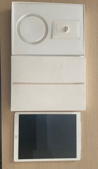 Apple iPad Pro 12,9 (1ª gen) wifi + celular G4