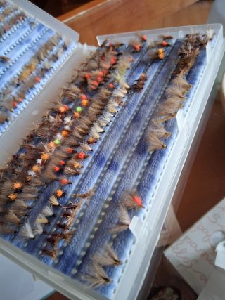 360 Moscas Secas para Pesca