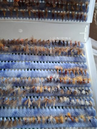 360 Moscas Secas para Pesca