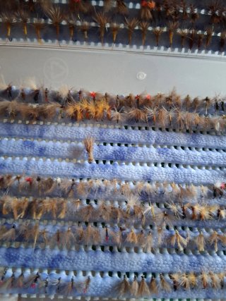 360 Moscas Secas para Pesca