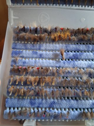 360 Moscas Secas para Pesca