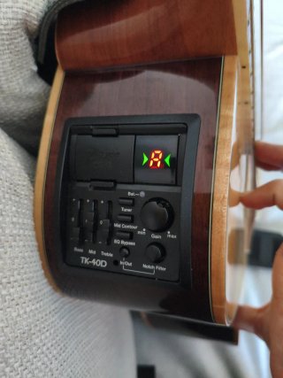 Guitarra Takamine GD71