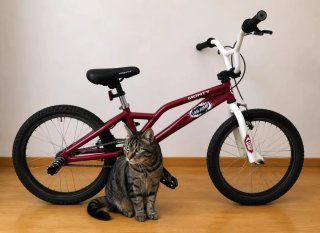 Bicicleta Monty 149 Jump Roja