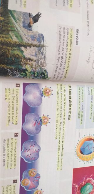 Biología y geología 1  ESO