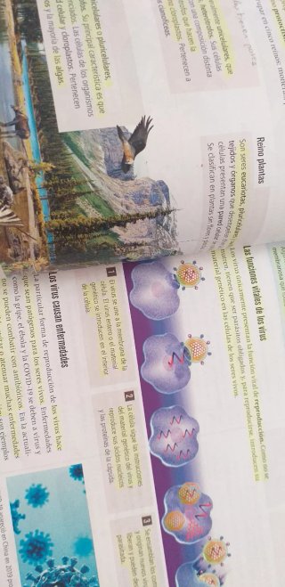 Biología y geología 1  ESO