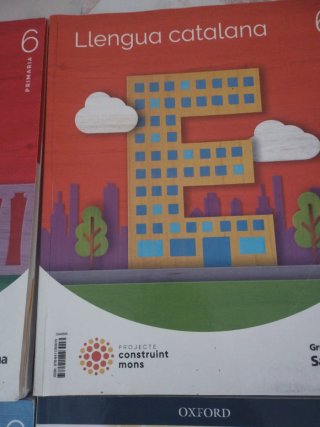 Libros 6 primaria