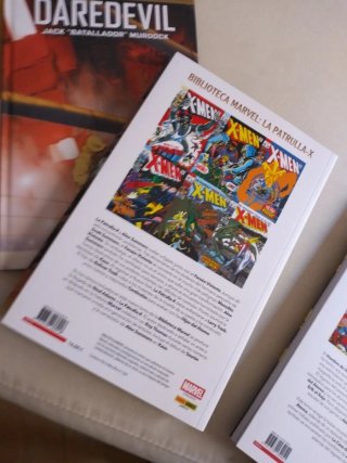 Comics lote Marvel