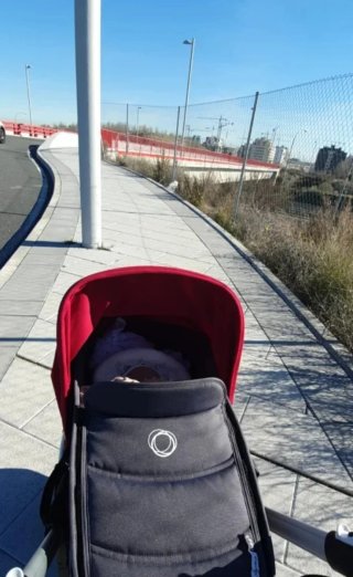Silla de paseo con capazo bugaboo bee 5