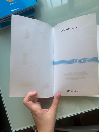 Lote de libros infantiles (6 años)