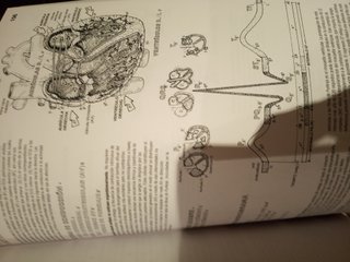 Anatomía libro de trabajo