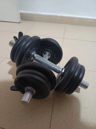 Juego de mancuernas 10-20Kg