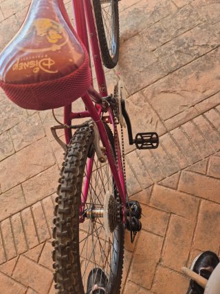 Bicicleta Montaña 24 Rosa