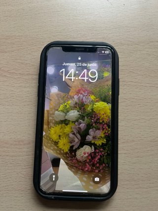 iPhone XS Negro