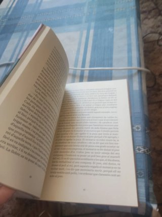 Llibre de les bèsties