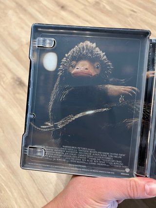 Steelbook Animales Fantásticos Dónde Encontrarlos