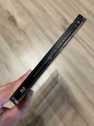 Steelbook Animales Fantásticos Dónde Encontrarlos