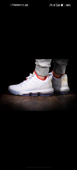 Nike LeBron 16 Low Talla 45