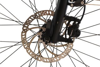 Bicicleta Triumph E-Bird Plus 400 t.M Reacondicionada