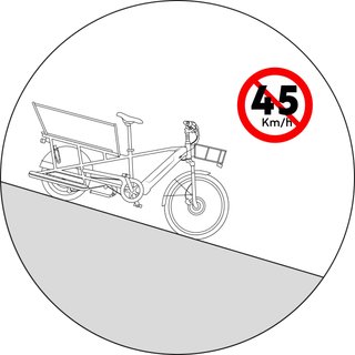 Bicicleta de carga cargobike eléctrica longtail carga