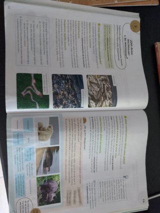 Ciencias de la Naturaleza, 3 Primaria