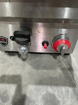 Freidora de Gas Profesional