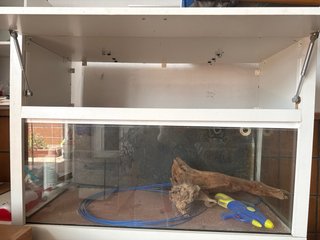 Acuario agua salada con mueble