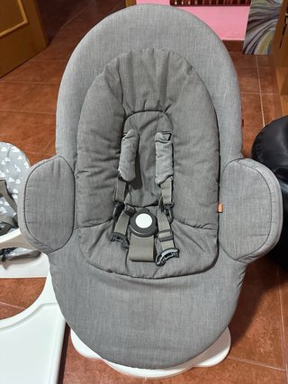 Trona evolutiva Stokke