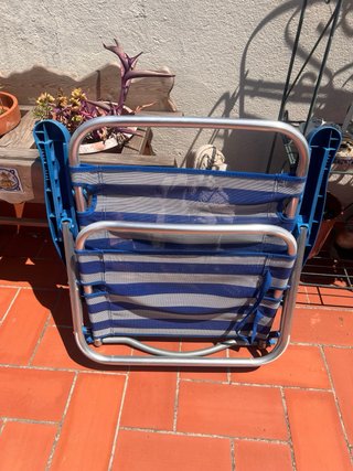 Silla de Playa Plegable Azul y Plateada