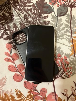 iPhone 13 Apple