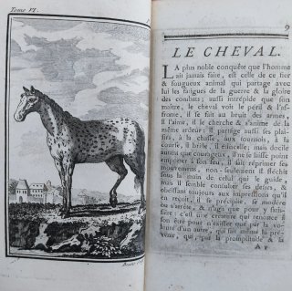 Libro antiguo Buffon