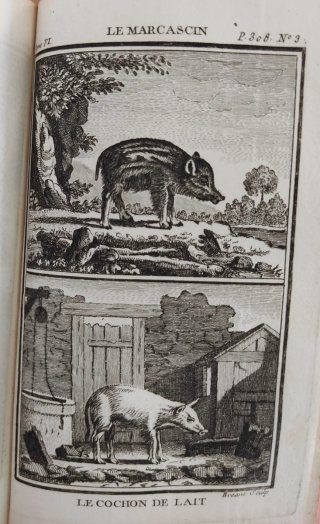 Libro antiguo Buffon