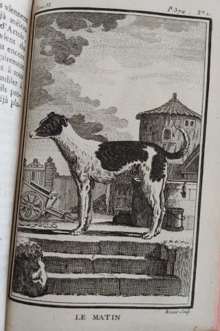 Libro antiguo Buffon