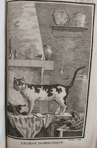 Libro antiguo Buffon