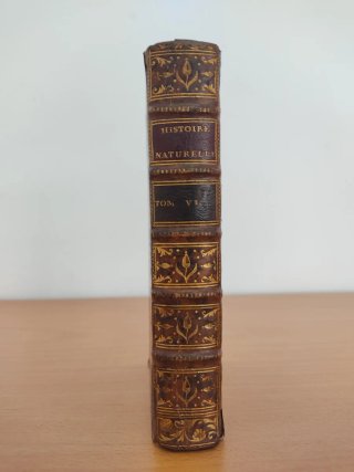 Libro antiguo Buffon