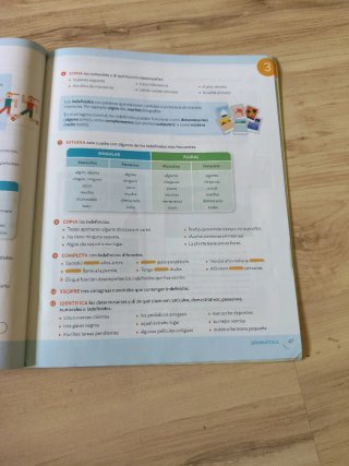 Lengua Castellana, 6 Primaria, Mochila ligera, ...