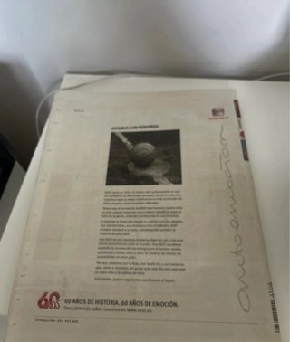 Mundo Deportivo 2010
