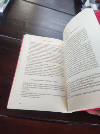 Tirant lo Blanc episodis amorosos