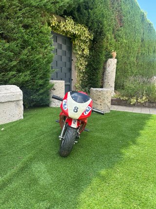 Minimoto Racing Honda 49