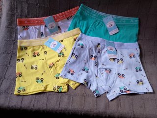 Lote 4 Boxers niño estampado