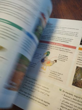 Ciencias de la Naturaleza, 4 Educación Primaria