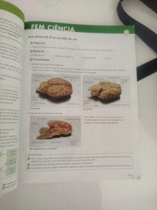 Biologia i geologia, 3 ESO