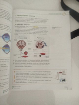 Biologia i geologia, 3 ESO