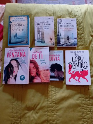 Lote de cuatro libros de lectura en español