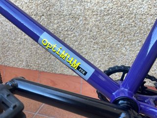 Bicicleta BMX Stray Strong Optimum PRK