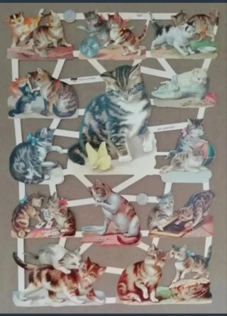 Lamina Cromos troquelados EF 7407. Gatitos
