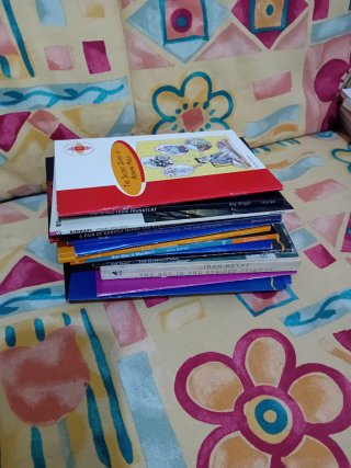 Lote libros juveniles en inglés