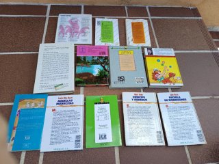 Lote 12 libros infantiles