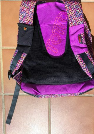Mochila escolar Toto multicolor