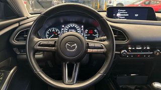 Mazda CX-30 (2022) e-SKYACTIV-X 2.0 186CV MT 2WD HOMURA